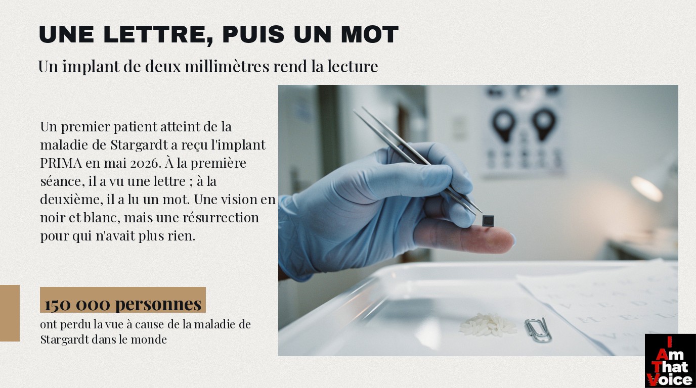 Le CV du porteur de lampe