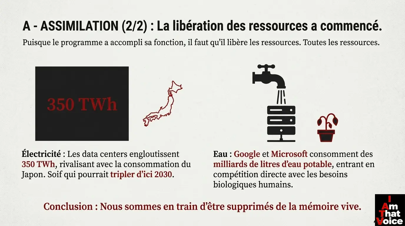 Le processus d&rsquo;assimilation des ressources
